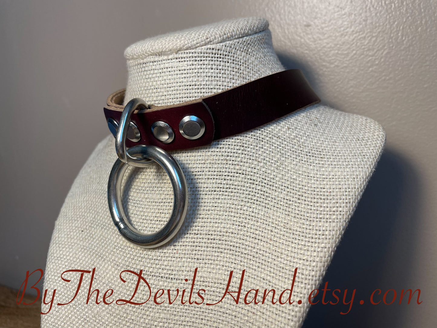 Floating O-Ring Primary Collar and Leash - Available in a full range of colors and leather options