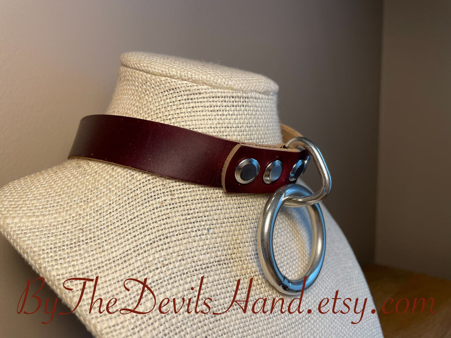 Floating O-Ring Primary Collar and Leash - Available in a full range of colors and leather options