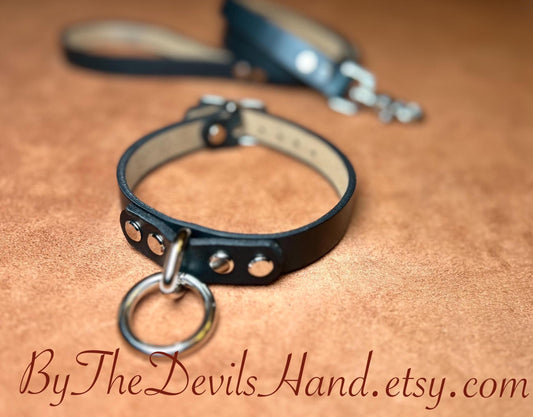 Floating O-Ring Primary Collar and Leash - Available in a full range of colors and leather options